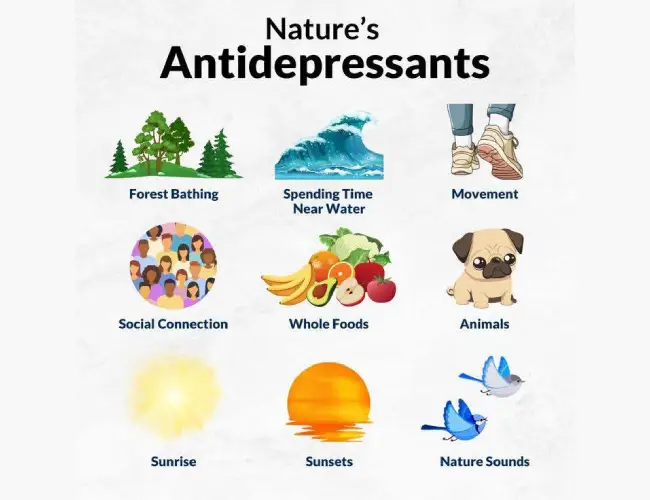 Nature’s Antidepressants